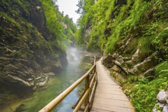 Scenic view of a wooden walkway winding along a stunning emerald river in vintgar gorge near bled,