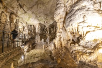 Tourists walking on a walkway marvel at the breathtaking stalactites and stalagmites formations