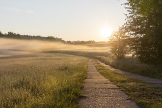 Field path between meadows and grain field with morning mist at sunrise, Bischofswerda, Saxony,