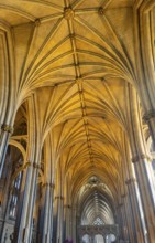 Vaulted roof ceiling inside Bristol cathedral church, Bristol, England, UK