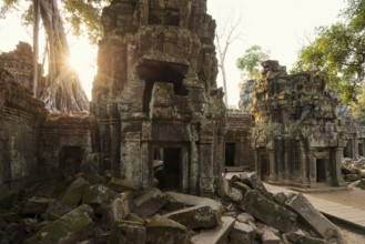 Ta Prohm, Angkor Wat, Angkor, UNESCO World Heritage Site, Siem Reap, Cambodia, Indochina, Southeast