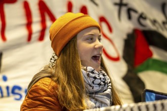 Greta Thunberg taking part in a pro-Palestinian rally on the market square in Mannheim