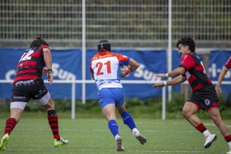 05.10..2024, Rugby 1st Bundesliga South/West, Season 2024/25, Matchday 4: Heidelberger Ruderklub