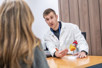 Doctor cardiologist using a model of a heart to explain surgery to a female patient