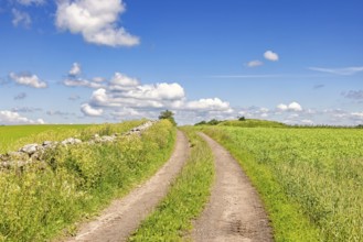 Empty dirt road with a grass shoulder by a stone wall in the countryside with green fields a sunny