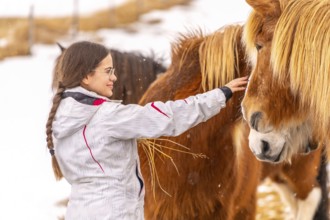 Woman stroking brown horses in Iceland winter