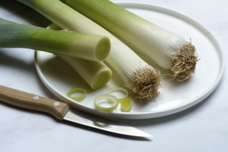 Leek, leek sticks on plate with knife, leek
