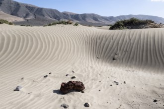 Dune landscape, Playa de Famara, Lanzarote, Canary Islands, Spain, Europe