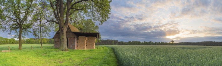 Landscape photo of a grain field with adjacent barn in the evening light, evening mood, landscape