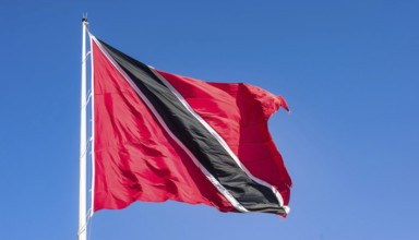 The flag of Tobago, Caribbean, flutters in the wind, isolated against a blue sky