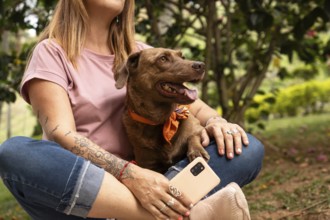 Cute dog with bandana sitting and enjoying with her owner in park