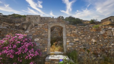 Pink flowers blooming at a stone archway amidst ancient ruins under a blue sky, Venetian Sea