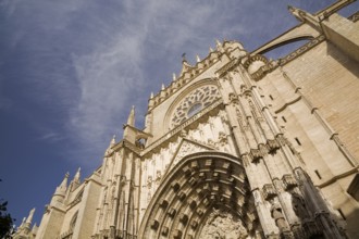 Architectural details on the outside of The Cathedral of Saint Mary of the See or Seville