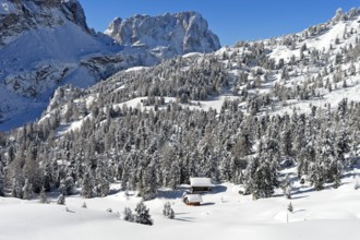 Winter landscape on the Gardena Pass, Passo Gardena, Dolomites, South Tyrol, Italy, Europe
