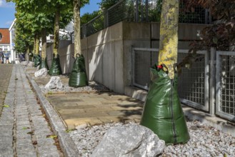 Treegator irrigation system, for targeted irrigation of trees in dry conditions, water bags that