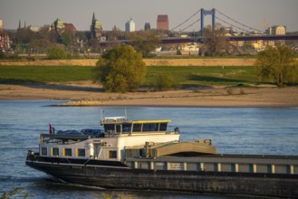 Cargo ship on the Rhine near Duisburg-Beeckerwerth, skyline of the city centre, with town hall,