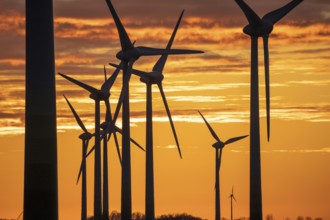 Wind farm near the East Frisian town of Norden, east of the town, sunset, Lower Saxony, Germany,