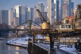 The skyline of Frankfurt am Main, skyscrapers of the banking district, historic harbour cranes at