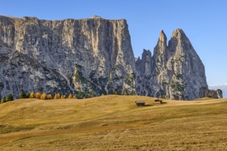 Alpine huts in front of Sciliar in autumn, blue sky, Dolomites, Alpe di Siusi, South Tyrol