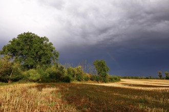 Harvested field after a thunderstorm, Naumburg, Burgenlandkreis, Saxony-Anhalt, Germany, Europe