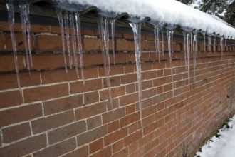 Icicles hanging down against red brick wall