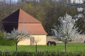 Fischerhaus am Fasanenschlösschen, Moritzburg, Saxony, Germany, Europe