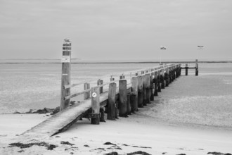 Pier at low tide, wooden jetty, black and white, Utersum, Föhr, North Sea island, North Frisia,