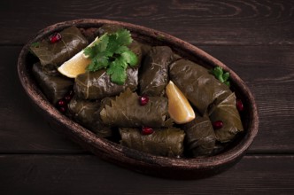 Dolma (Tolma) stuffed rolls, minced meat with rice, in grape leaves, top view, no people, close-up