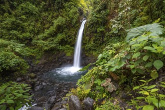 La Paz waterfall, waterfall in dense green vegetation, long exposure, Alajuela province, Costa
