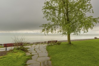 Shore of Lake Constance after a thunderstorm in spring, Friedrichshafen, Lake Constance district,