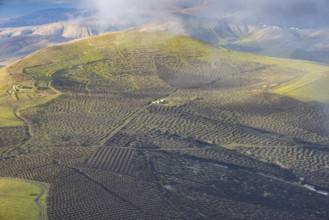 La Geria wine-growing region, Lanzarote, Canary Islands, Spain, Europe
