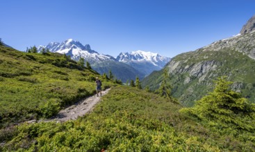 Mountaineer on hiking trail, mountain panorama with glaciated mountain peaks, Aiguille Verte with