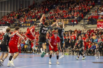 26.04.2024, 2nd HBL (German Handball League), Matchday 30: Owl Ludwigshafen vs TuSEM Essen (final
