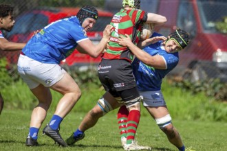 Heidelberg, 06.04.2024, Rugby 1st Bundesliga South/West, Season 2023/24, Matchday 10: SC Neuenheim