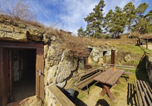 Cave dwelling in the Höhlenstrasse am Schäferberg, Langenstein cave dwellings, Halberstadt, Harz