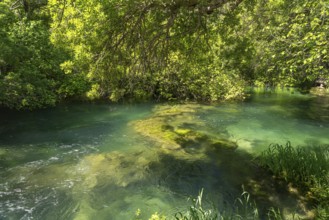 The Krka River in Krka National Park, Croatia, Europe
