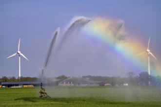 Artificial irrigation of a cereal field in April, with a sprinkler system, long dry spell in spring