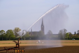 Artificial irrigation of a field, freshly sown, in April, with a sprinkler system, long drought in