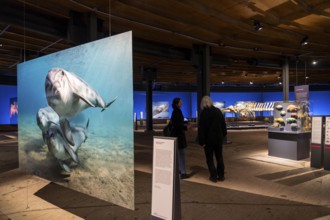 Plante Ozean exhibition in the Gasometer in Oberhausen, the world's oceans in their fragile beauty