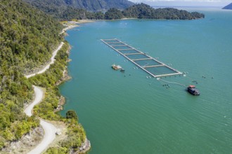 Aerial view of salmon farm in the Reloncavi fjord southeast of Puerto Montt, Chile, South America