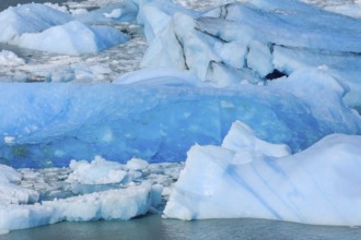 El Calafate, Patagonia, Argentina, Perito Moreno Glacier in Los Glaciares National Park. The Perito