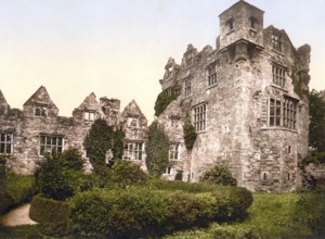 Donegal Castle, a castle (Tower House) in the centre of the town of Donegal in the county of the
