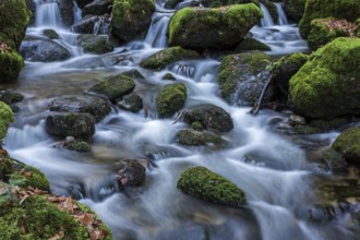 Gertelbach, Gertelbach Waterfalls, Gertelbach Falls, Gertelbach Gorge, Bühl, Bühlertal, Northern