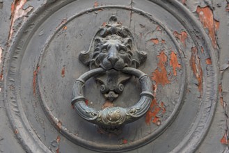 Door knocker with a lion's head on a front door in the historic centre, Genoa, Italy, Europe