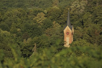 Palatinate Forest with the steeple of the Protestant church built in 1806 in Haardt, Neustadt an