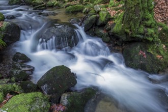 Gertelbach, Gertelbach Waterfalls, Gertelbach Falls, Gertelbach Gorge, Bühl, Bühlertal, Northern