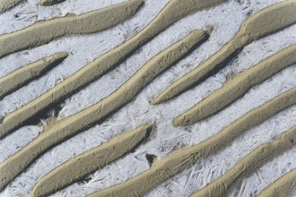 Pattern of sand ripples and ice on the beach during frost in winter, the Netherlands