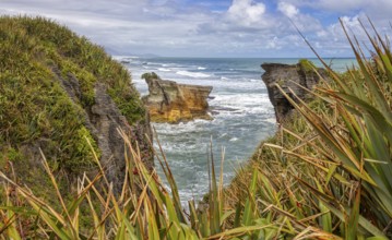 Pancake Rocks, Paparoa National Park, New Zealand, Oceania