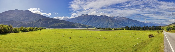 Mount Aspiring National Park, Wanaka, New Zealand, Oceania