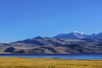 Himalayan lake Tso Moriri on sunrise, Korzok, Ladakh, India, Asia